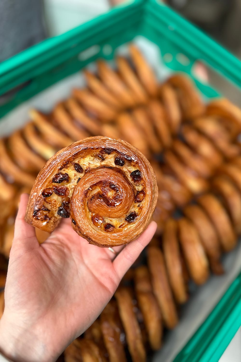 Elde pain aux raisins, arkada dolu kasa