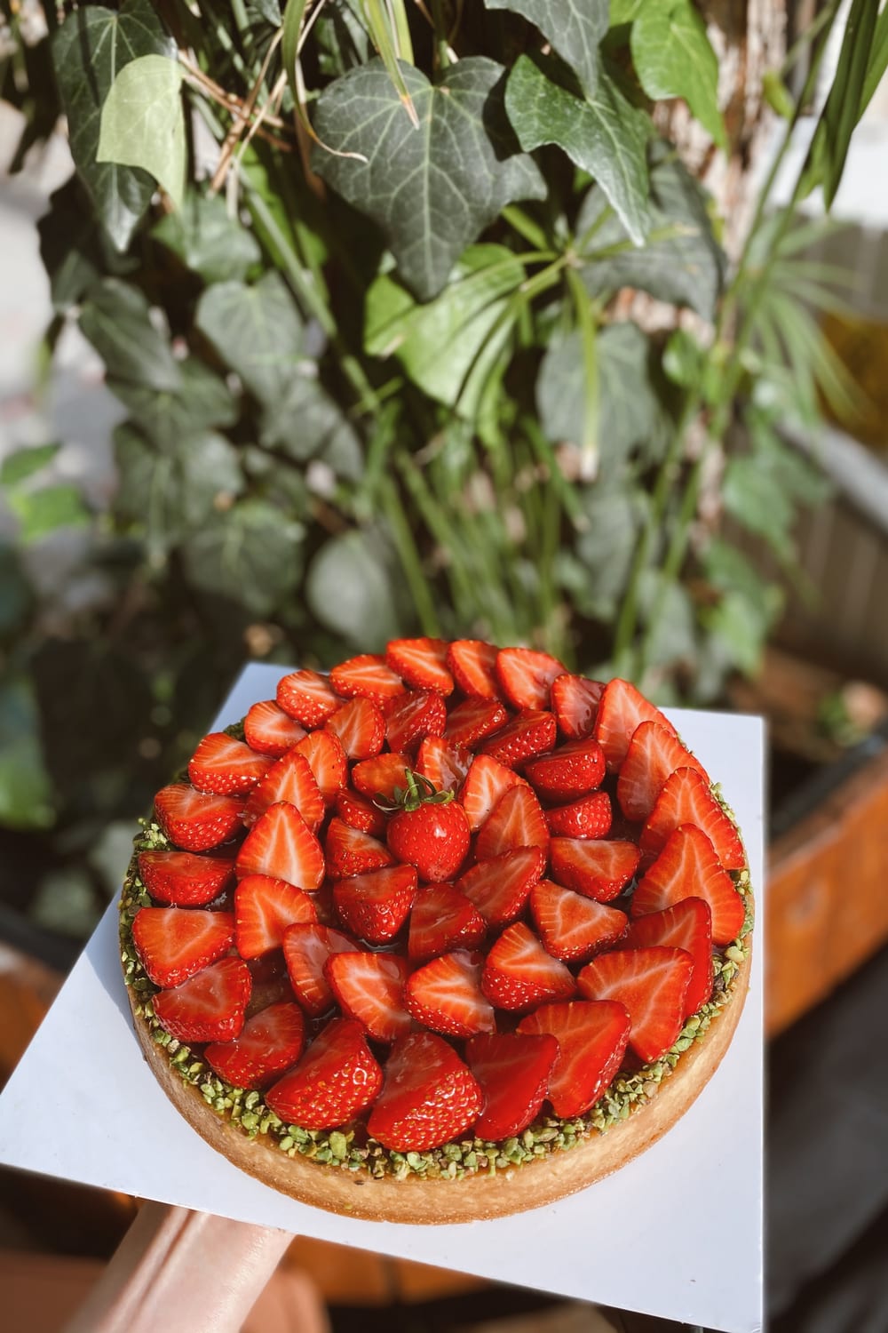 Çilekli tart elde, arkada sarmaşık