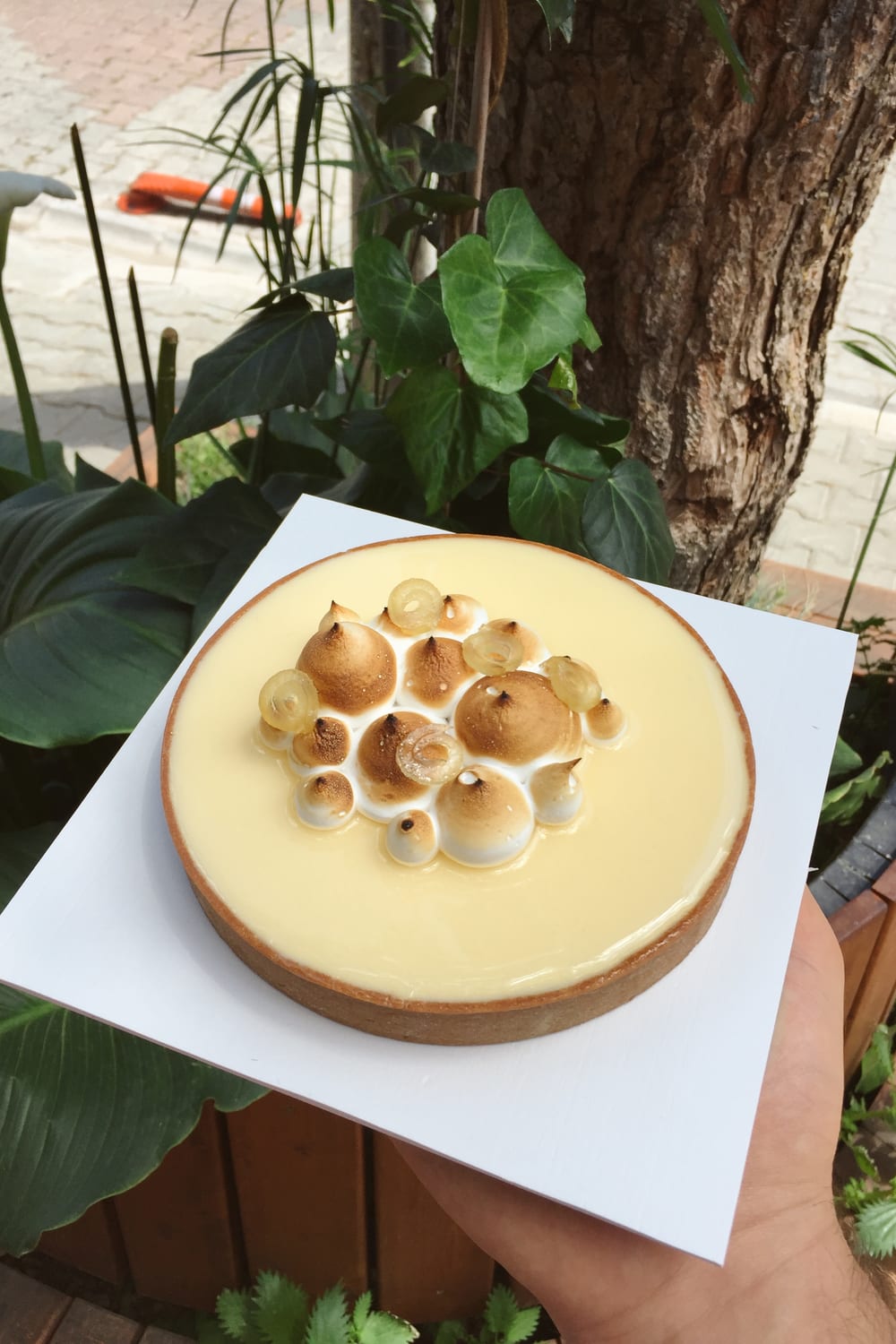 Limonlu tart, beyaz karton üzerinde