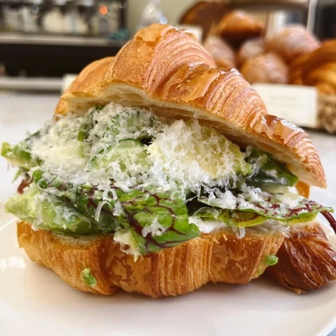 Avocat